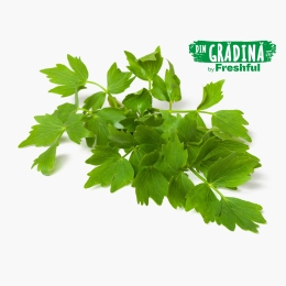 Leuștean eco 1 legătură