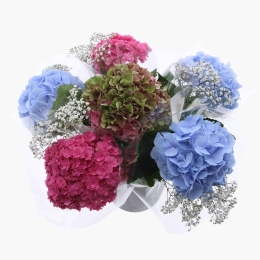 Buchet Hortensia, 1 fir