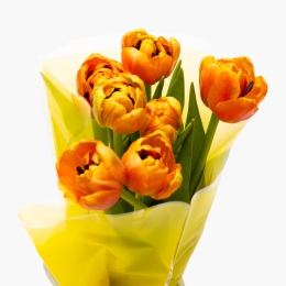 Buchet lalele duble, 7 fire