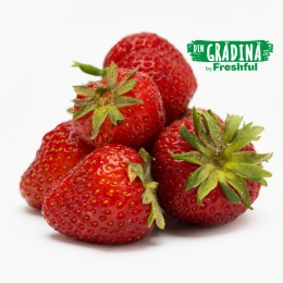 Căpșune eco din Livada Domniței 250g