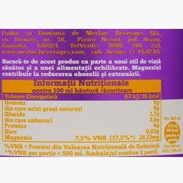 Ceai rece cu fructe de pădure 1l