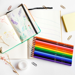 Creioane colorate Intensity 12 buc