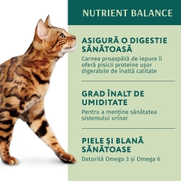 Hrană umedă pentru pisici adulte 85g, iepure în jeleu de morcovi