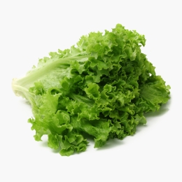 Salată Lollo bionda 1 buc