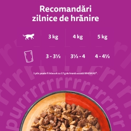 Hrană umedă pentru pisici, 85g, cu vită și pasăre în aspic 