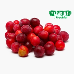 Corcodușe roșii eco România 250g