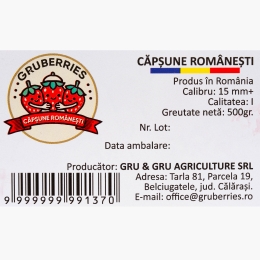 Căpșune Gruberries România 500g