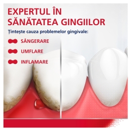 Pastă de dinți Active Gum Repair 75ml