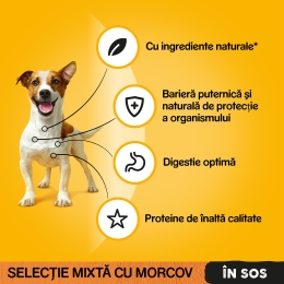 Hrană umedă pentru câini adulți, 4x100g, selecție delicioasă în sos 