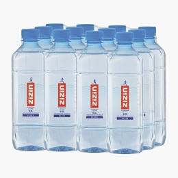 Apă minerală naturală plată 12x500ml