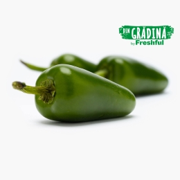 Ardei iute Jalapeno eco, România 125g