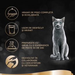 Hrană umedă pentru pisici adulte, 4x85g, selecție de pește în sos