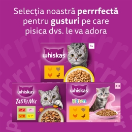 Hrană umedă pentru pisici, 4x85g, Tasty Mix cu miel, pui și morcov, vită și pasăre, în sos