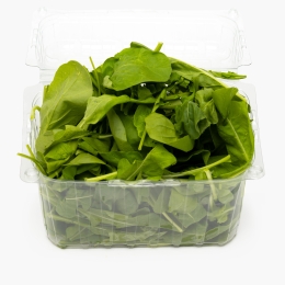 Salată rucola ECO Ferma Sarei România minim 120g
