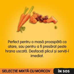 Hrană umedă pentru câini adulți, 4x100g, selecție delicioasă în sos 