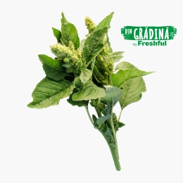 Știr eco România (Bioferma Niculești) 100g