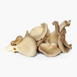Ciuperci Oyster eco 150g