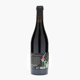 Vin roșu sec Pinot Noir, 13.5%, 0.75l