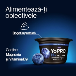 Produs lactat fermentat cu afine și îndulcitori, bogat în proteine, 0.1% grăsime, 160g