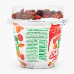 Iaurt cu mix de stafide, merișoare și goji 170g+18g