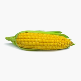 Porumb extra sweet eco de fiert 1 buc