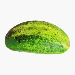 Castraveți Barattieri, 1 buc, minim 250g