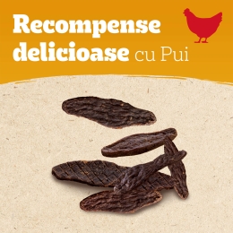 Recompense pentru câini, 70g, Ranchos cu pui