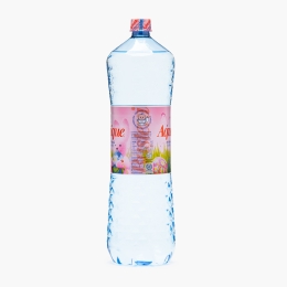 Apă minerală naturală plată 2l