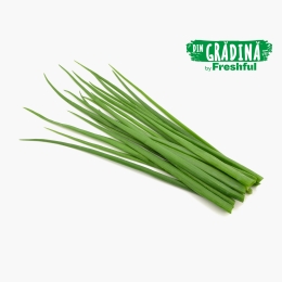 Chives eco 15g