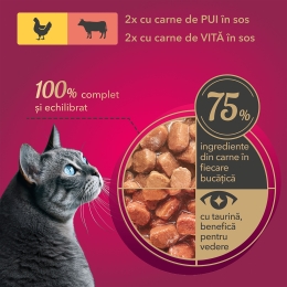 Set hrană umedă pentru pisici, cu pui și vită, 4x85g