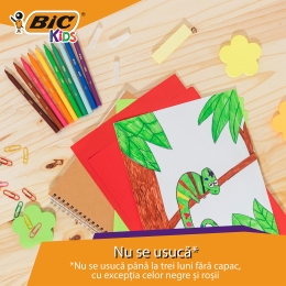 Set markere colorate lavabile Kids Visa 12 buc