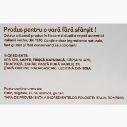 Înghețată italiană artizanală (gelato) căpșuni (vegan și fără zahăr) + vanilie de madagascar 300g
