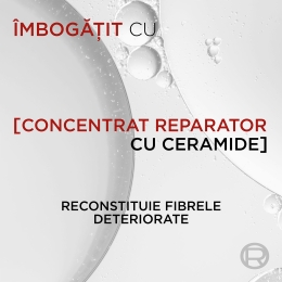 Șampon reconstituant pentru păr deteriorat, Total Repair 5, 400ml 