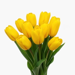 Buchet lalele galbene, 10 fire