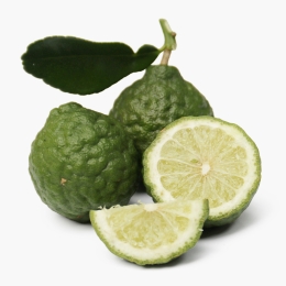 Lime Kaffir Premium eco 100g