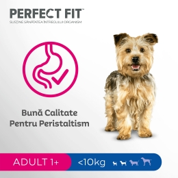 Hrană uscată pentru câini adulți de talie mică, 6kg, cu pui 