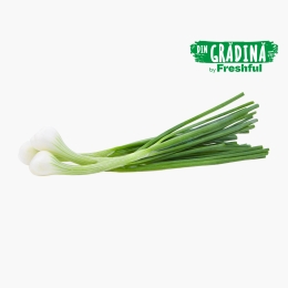 Ceapă verde proaspăt culeasă, 1 legătură