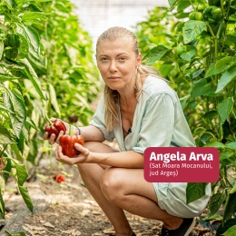 Ardei California roșu eco România, 2 buc