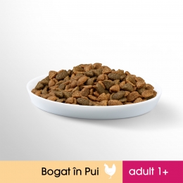 Hrană uscată pentru pisici adulte, 750g, cu pui