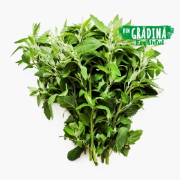 Lobodă sălbatică eco, România (Bioferma Niculești), 100g 