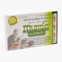 Extract purificat de rășină cu propolis 30 capsule