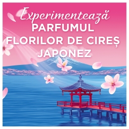 Balsam de rufe Japanese Blossom, 87 spălări
