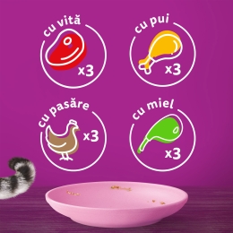 Hrană umedă pentru pisici junior, 12x85g, Mese Clasice în sos cu vită, pui, miel și pasăre