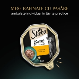 Hrană umedă pentru pisici adulte, curcan în sos alb, 85g
