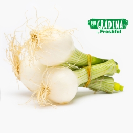 Ceapă galbenă România 1 legătură