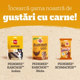 Recompense pentru câini, 70g, Ranchos cu vită