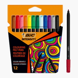 Markere de colorat Intensity 12 buc