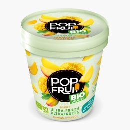 Sorbet de mango eco 375g