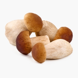 Hribi proaspeți 500 g