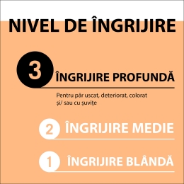 Șampon pentru păr uscat și extrem de degradat Ultimate Repair 0.25l